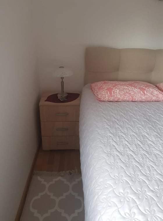 Vila Irina - Apartman Milos Kopaonik Exterior photo